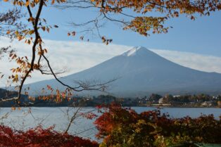 山梨ワイナリー②