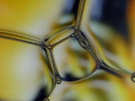 トレンドワイン3