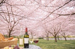 お花見ワイン会　桜並木