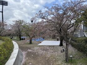 新潟ワイン会　当日2