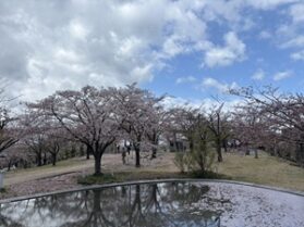 新潟ワイン会　当日1