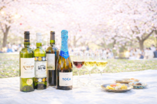 お花見ワイン会　ワインと一緒に